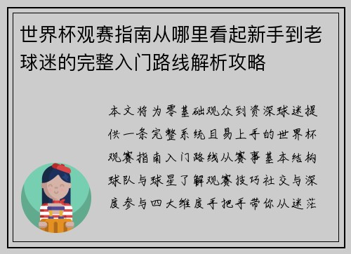 世界杯观赛指南从哪里看起新手到老球迷的完整入门路线解析攻略